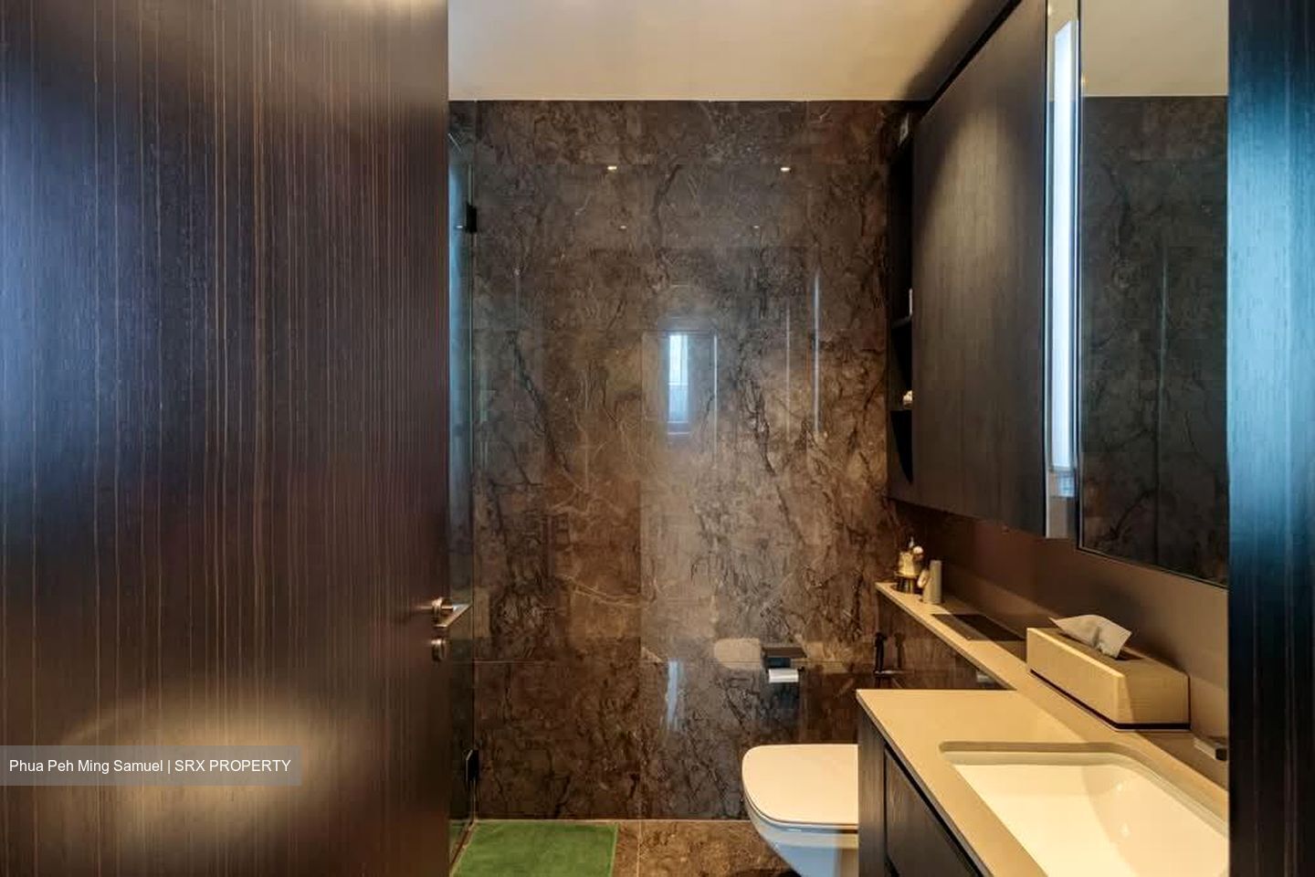 3 Cuscaden (D10), Apartment #580727091
